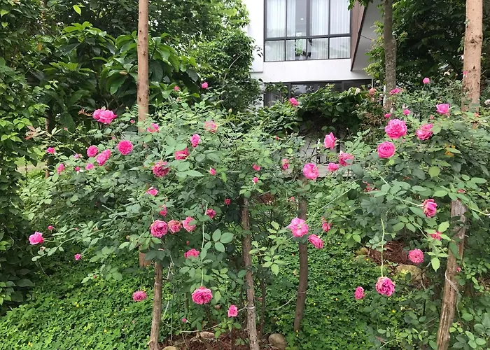 Flamingo Dailai - Hq Villa