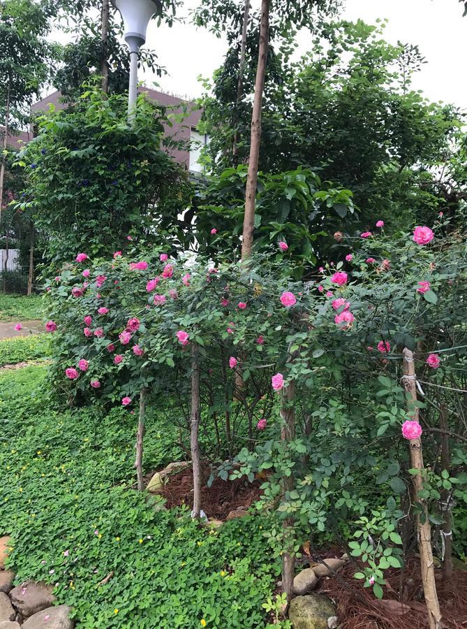 Flamingo Dailai - Hq Villa