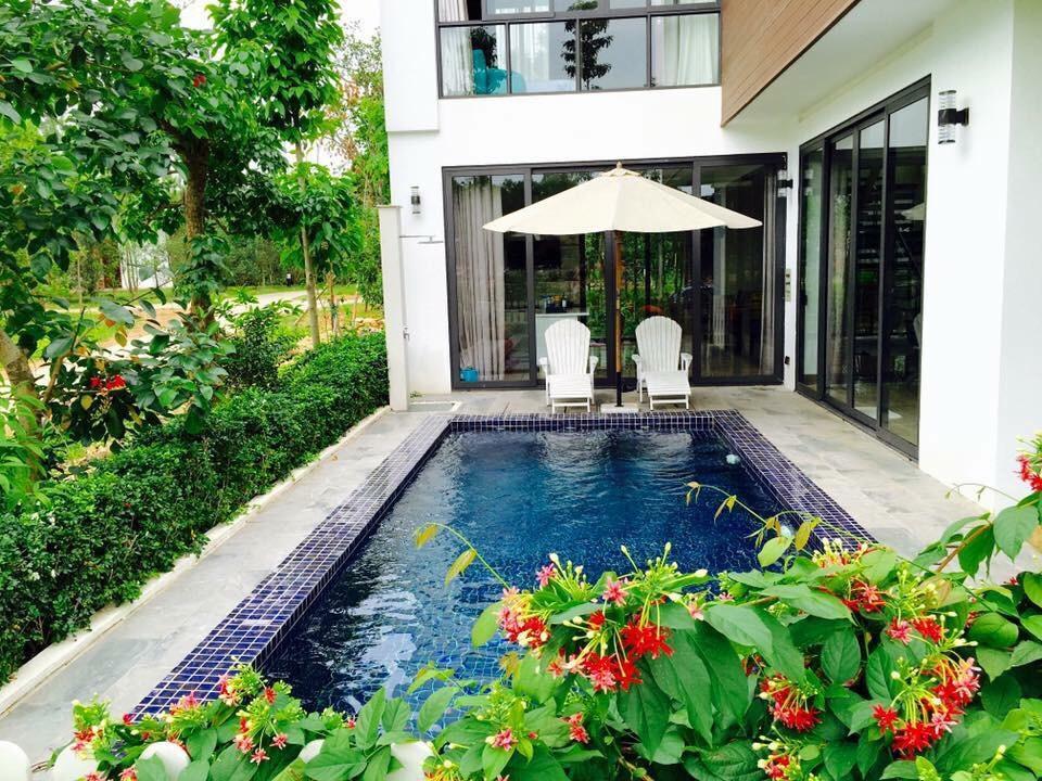 Flamingo Dailai - Hq * Ngoc Quang
