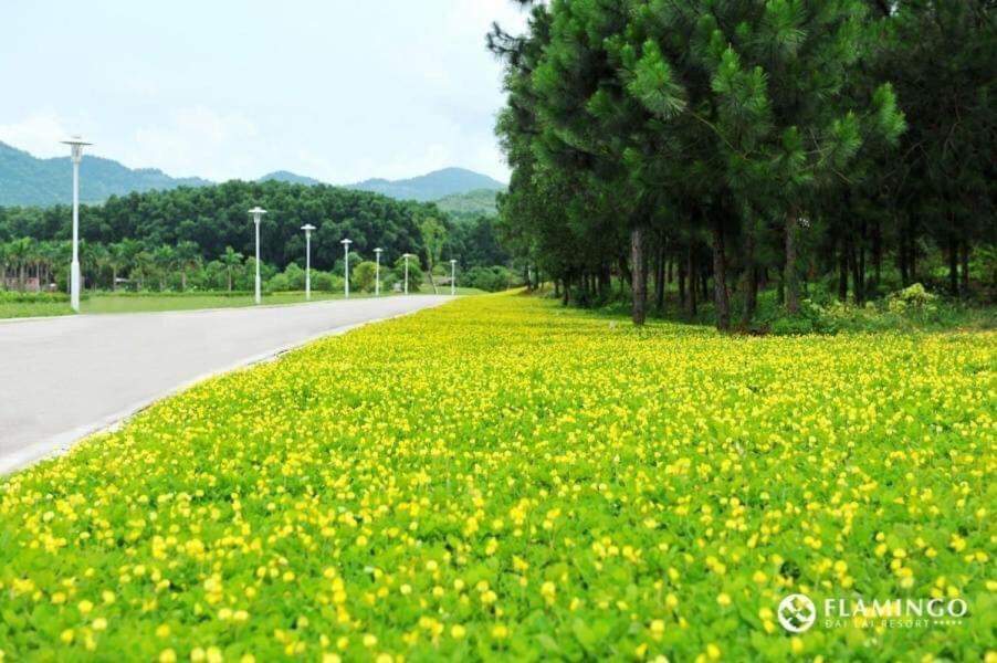 Villa Flamingo Dailai - Hq Ngoc Quang